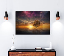 Obraz Strom pod hviezdnou oblohou 1631